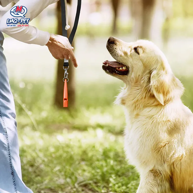 Eğitim davranış yardımcıları aksesuarları köpek eğitim seti Clicker ayarlanabilir ultrasonik sessiz köpek düdük kordon ile