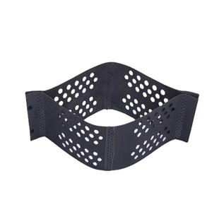 Đục HDPE Geocell Mặt Đất Tăng Cường Di động Hệ Thống Geocell Cho Đường Bụi Bẩn Locker Nhựa HDPE Geocell - Product Image 3