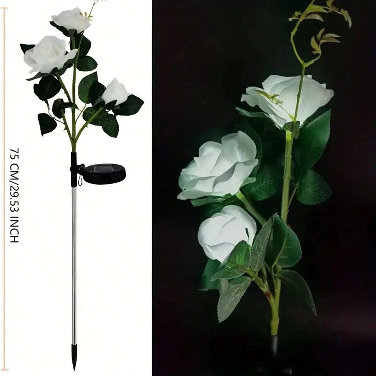 White rose