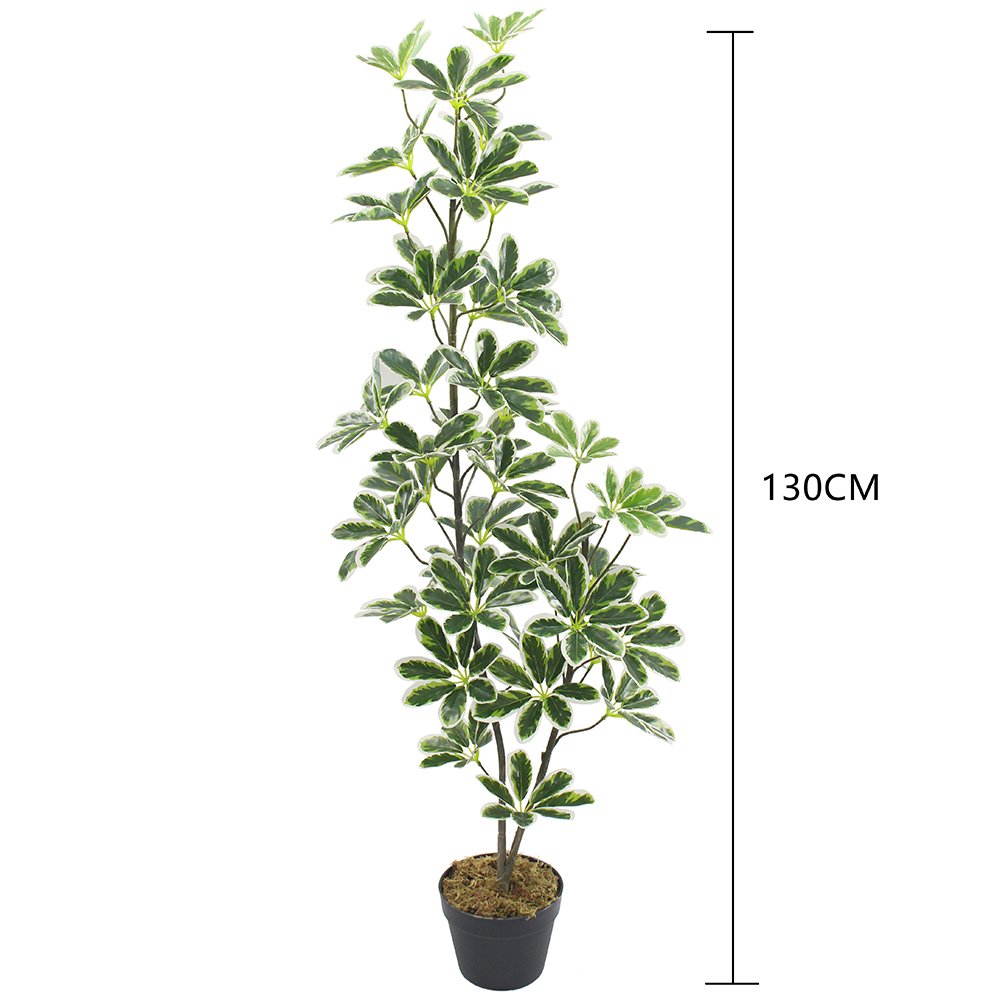 130CM