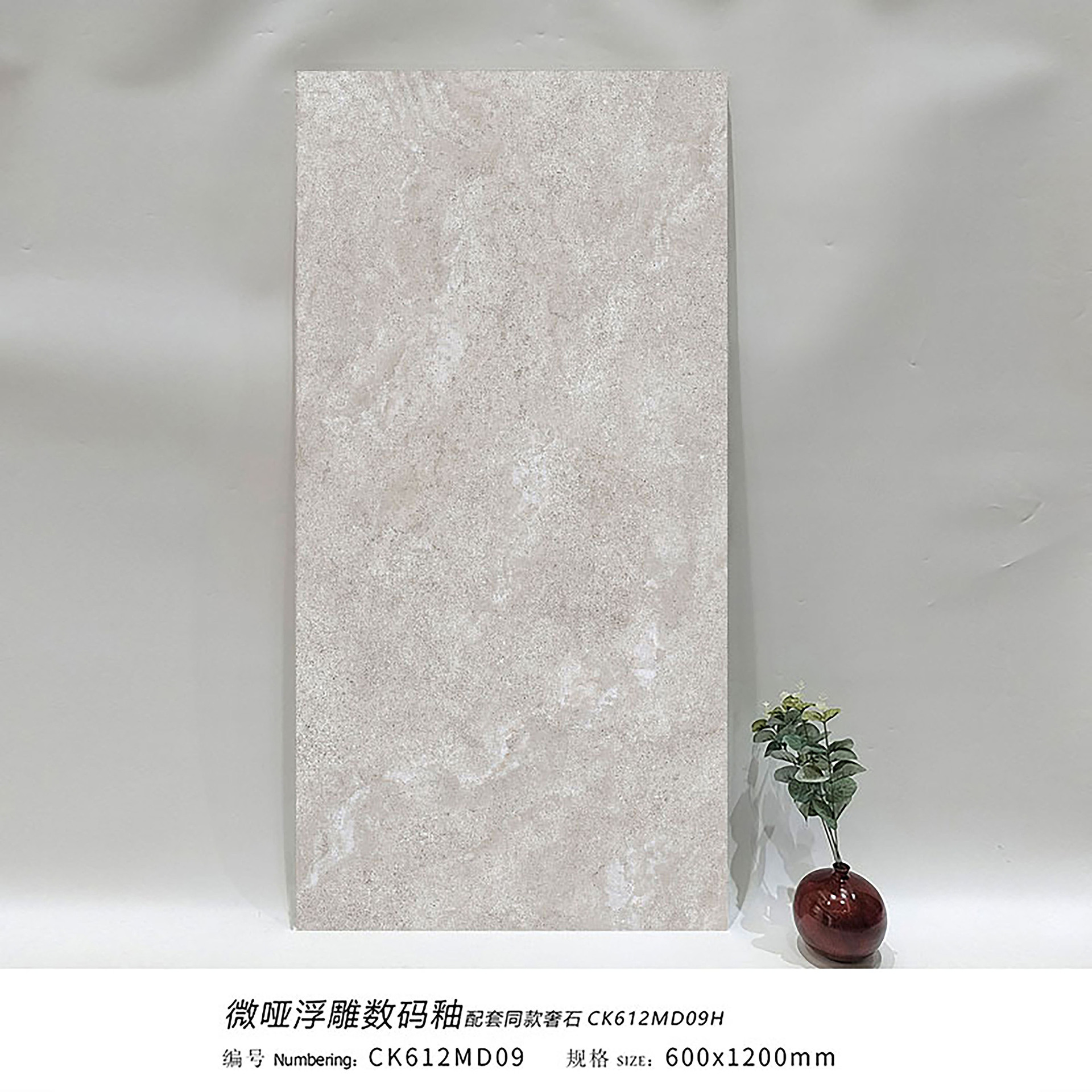 Pologne spécial blanc gris ck612md09 - 600x1200mm