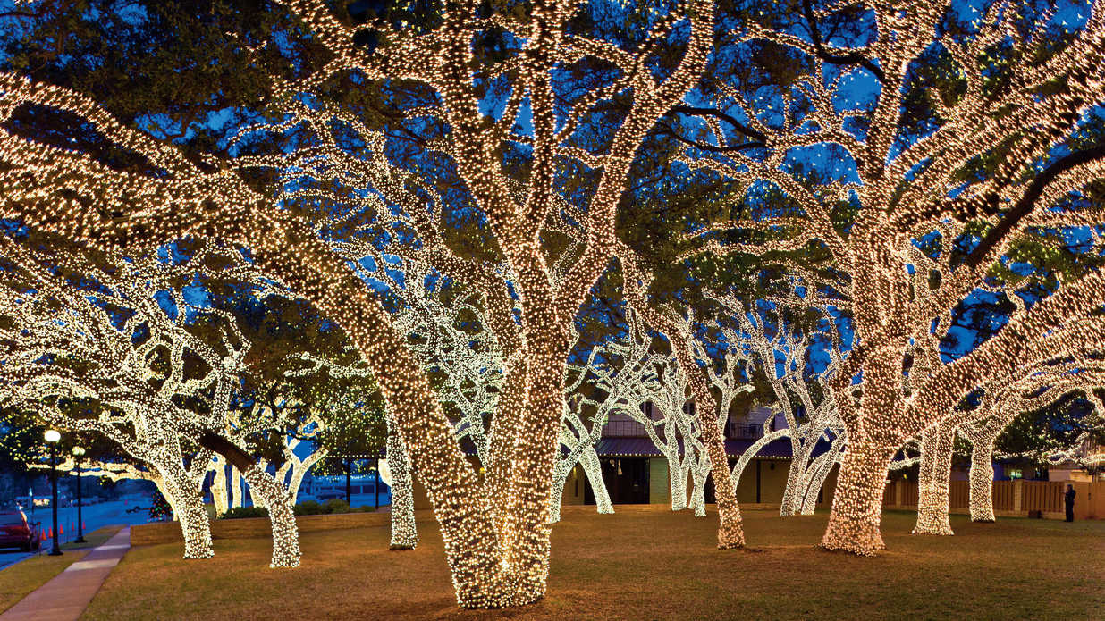 Holiday Party Rice Light Decorative Outdoor Waterproof Christmas Rice Light Led Decorative