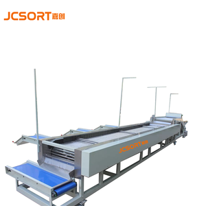 ライチグレーダーマシンJC SORT高度自動フルーツ仕分けグレーディング - Product Image 4