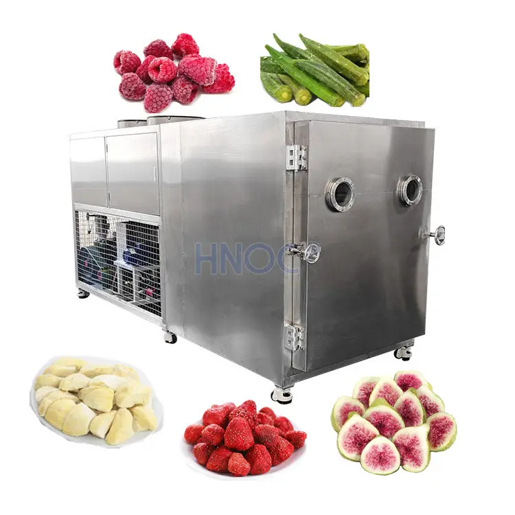 Máquina de liofilización Industrial, Liofilizador de alimentos, secador al vacío, precio de secado, equipo