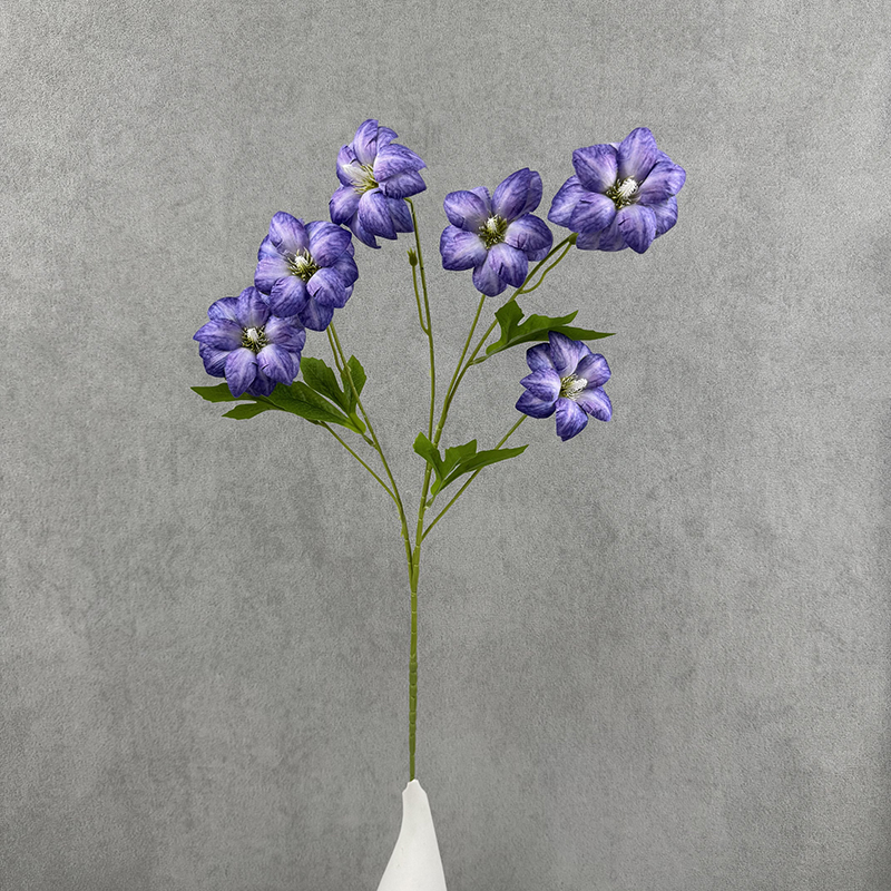 violet foncé 2