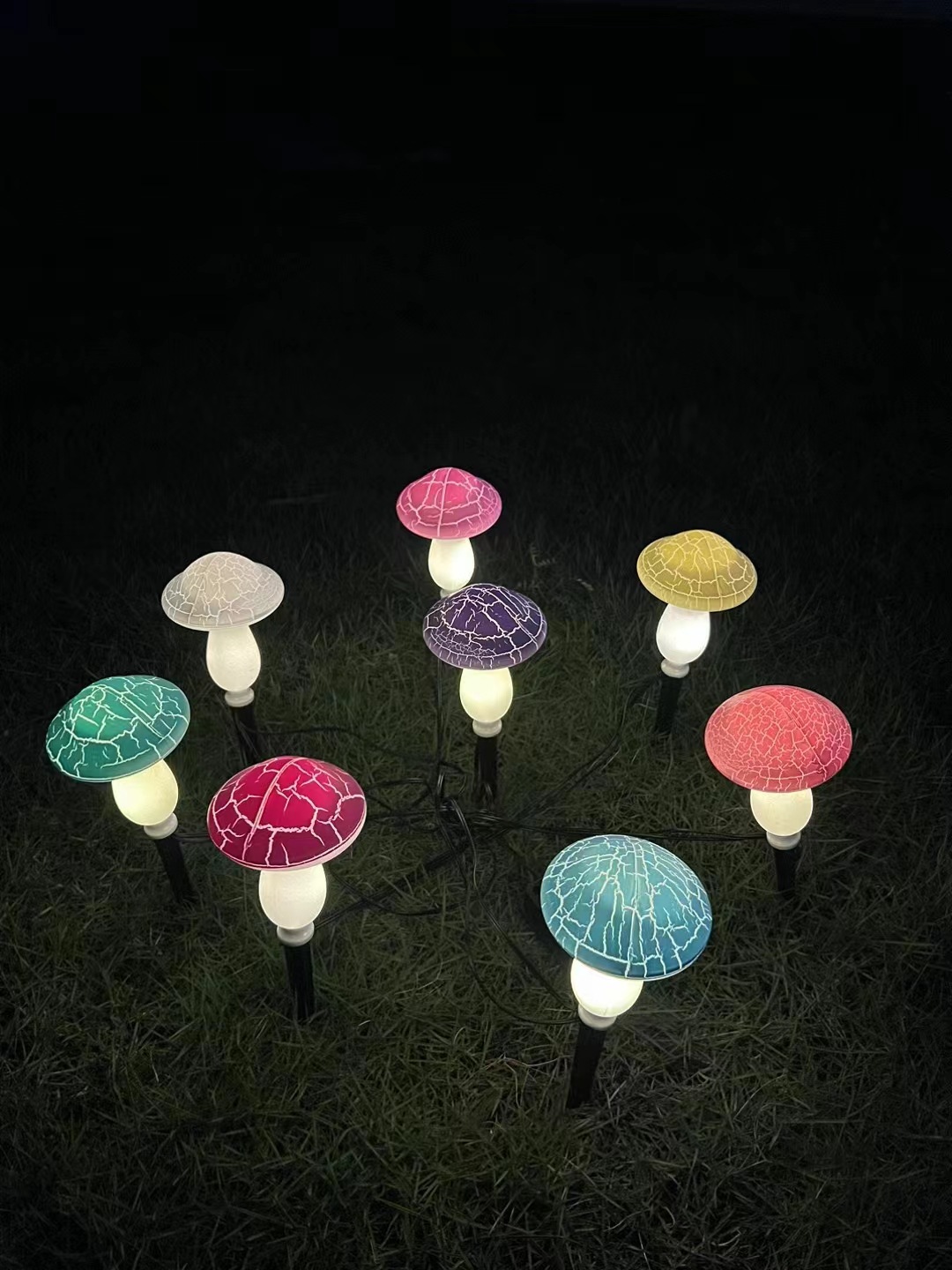 Champignons craquelés colorés - un pour huit