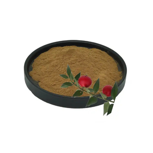 ผง10% สกัด ruscogenin ตัวทำละลาย Ruscus aculeatus Butchers สารสกัดจากไม้กวาดอาหารเสริมภาชนะบรรจุแบบดรัมทดสอบ HPLC - Product Image 1