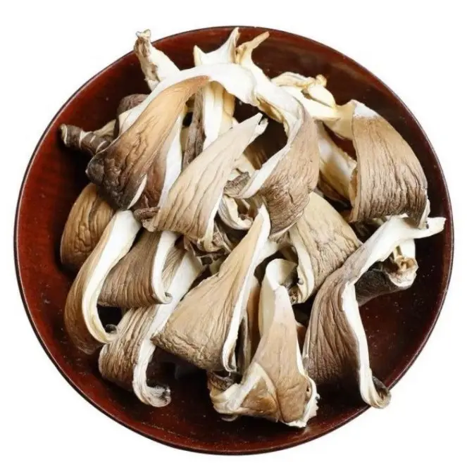 Vente en gros de champignons huîtres Pleurotus Ostreatus blancs ou gris