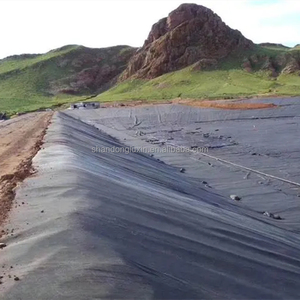Mısır baraj projesi için Hdpe su geçirmez membran yüksek yoğunluklu polietilen levha astar 1.0mm 1.5mm Hdpe geomembran - Product Image 6