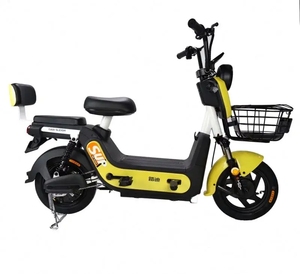 Ucuz yüksek kaliteli elektrikli bisiklet kiti pil elektrikli bisiklet ile motor 5000W yetişkin elektrikli bisiklet