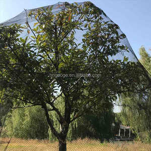 Rete a rete per uccelli senza nodo in plastica stabilizzata UV anti-uccello - Product Image 1