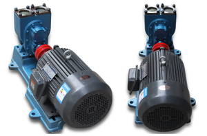 100yhcb-100 xăng dầu hỏa dầu diesel chất bôi trơn dầu bơm bánh răng cho xe tăng xe - Product Image 6