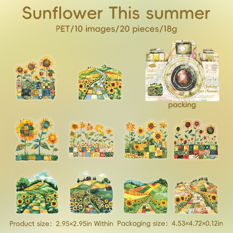 D Toward the Sun this Summer