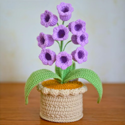 Plante en pot de muguet violet à 9 têtes, sans lumière