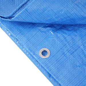 140G Vải Nhựa Màu Xanh Kích Thước Tùy Chỉnh Đảm Bảo Bảo Vệ Tối Ưu Sản Phẩm Nóng Tarpaulin Cuộn Để Bao Gồm Các Công Cụ Nội Thất - Product Image 3