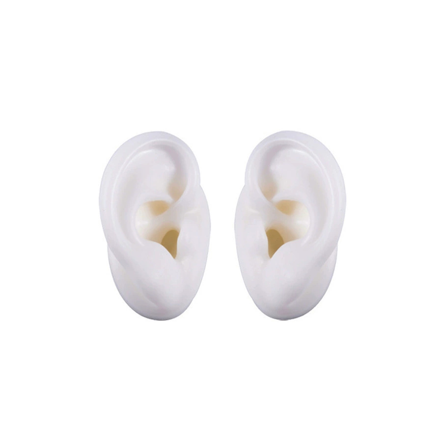 Oreille gauche blanche avec support