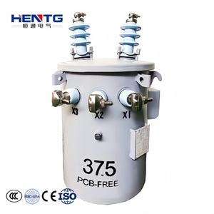 CSP trasformatore monofase a bagno d'olio per installazione a palo 333kva 15kva 132kv tensione di ingresso 220v 50Hz uscita frequenza 60Hz