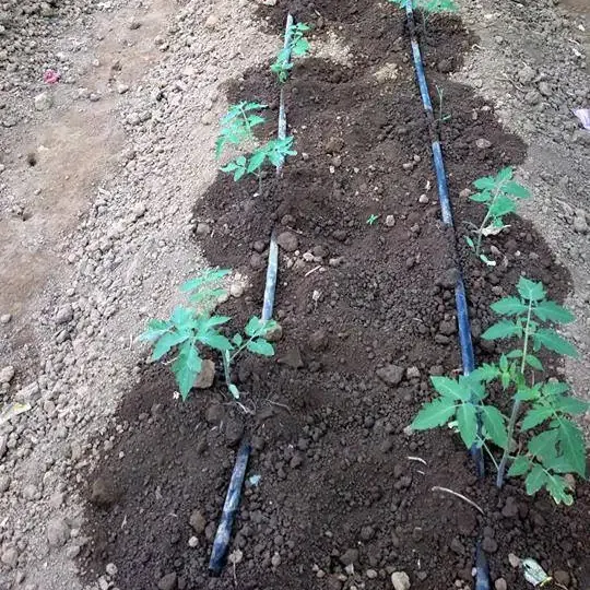Système de tuyau d'irrigation goutte à goutte en plastique pour ferme de jardin 16mm 0.4mm 1,3 L pour serre
