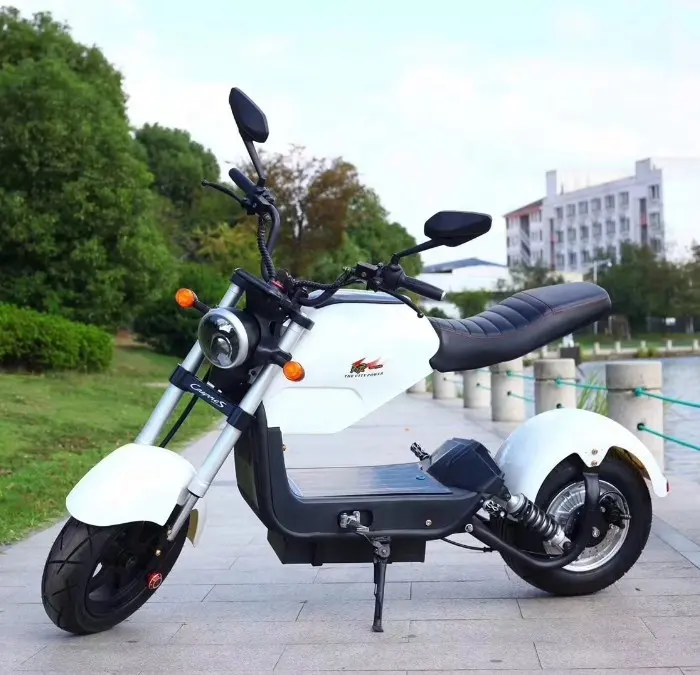 2019 vendita calda scooter elettrico 1000 w, 2000w con buona qualità citycoo