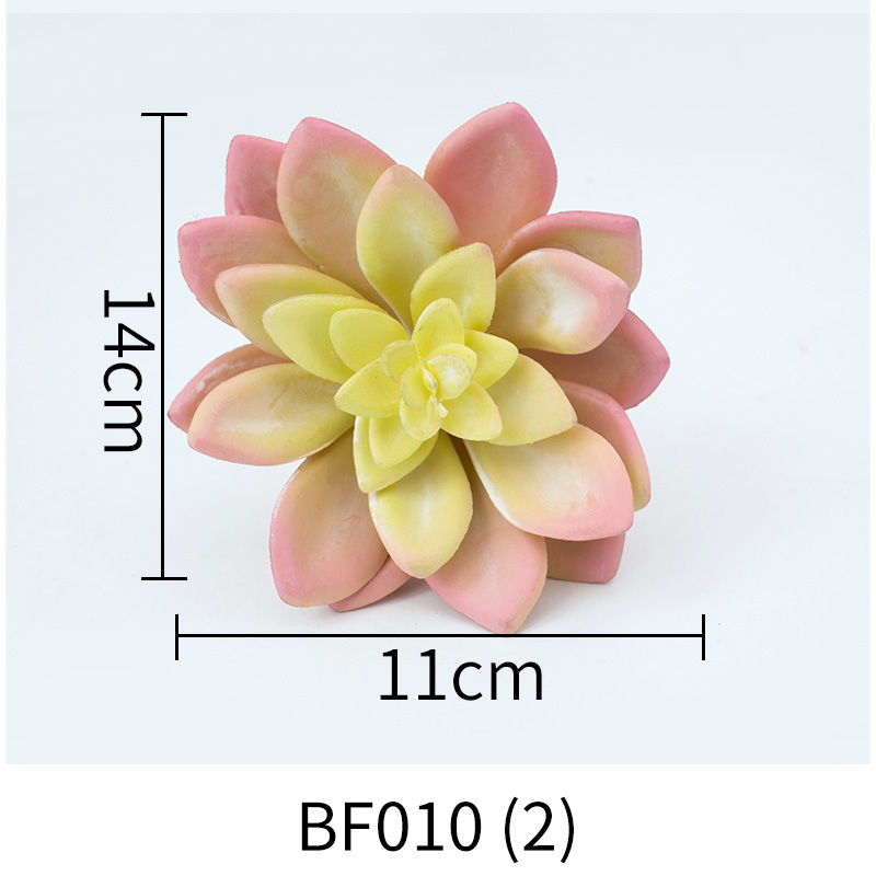 BF010-(2)