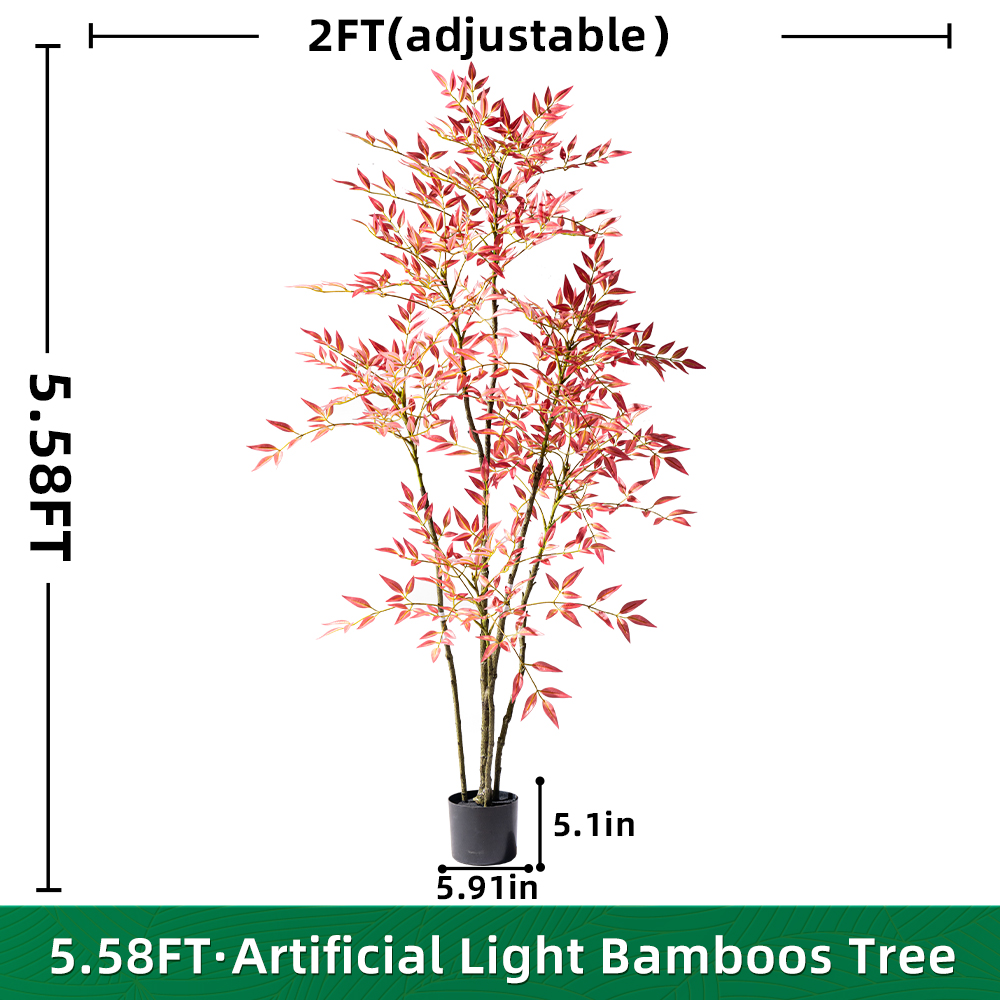 4.8FT/170CM