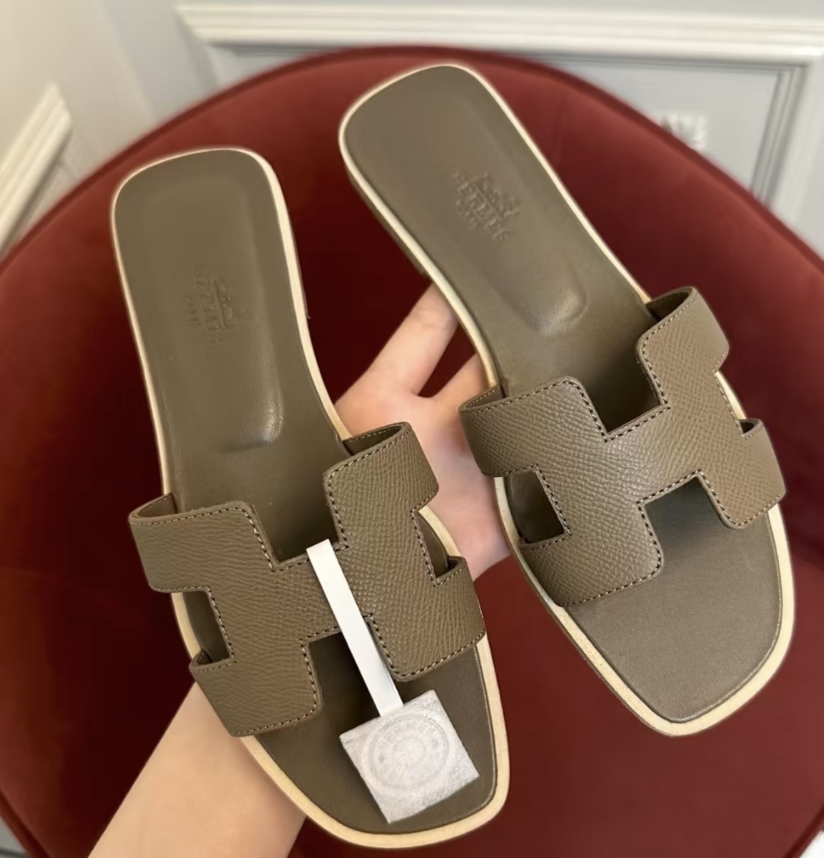 elephant gray