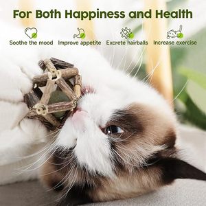 Natural Silvervine Sticks Interactive Cat Chew Toy Kitty Teeth Cleaning Cat Nip Ball&amp;Bell Ball <strong>Catnip</strong> Toys - Product Image 4