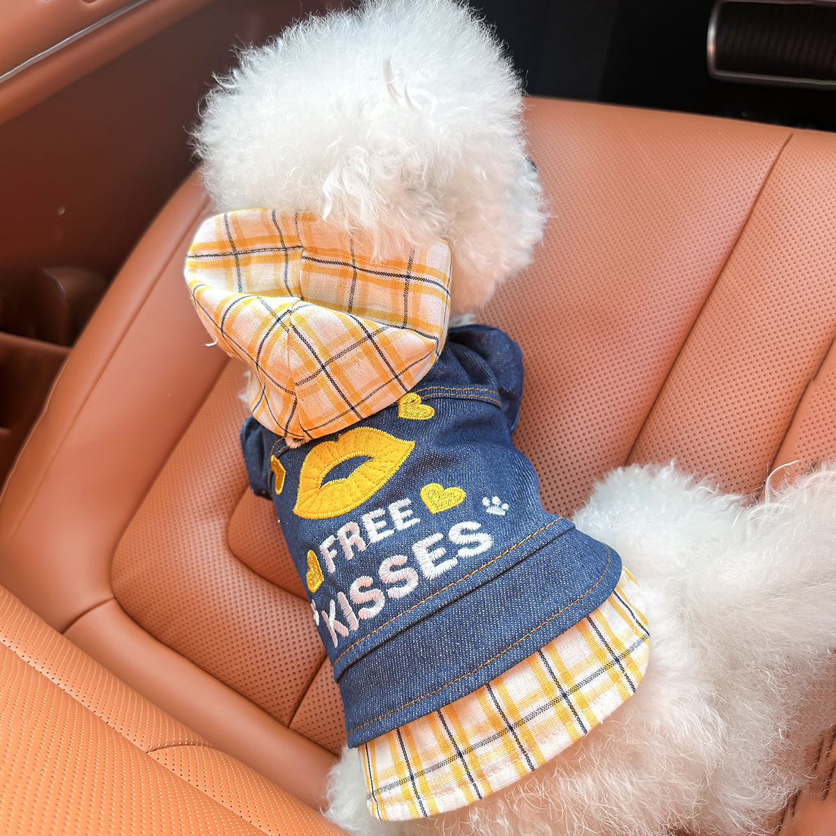 kiss Cowboy clothes