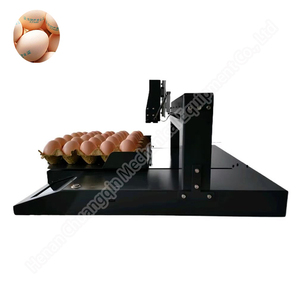 Daten druck Automatische Codierung Linie Chargen code Stempeln Datum Codierung Gerät Ablaufdatum Eicodierer Maschine - Product Image 6