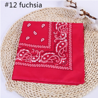 12.Fuchsia