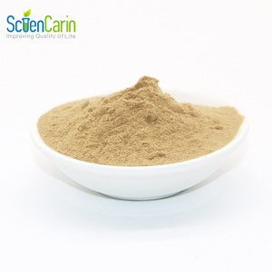 Sciencarin ผง Ruscus aculeatus สารสกัดจากรากรุสคัส - Product Image 2