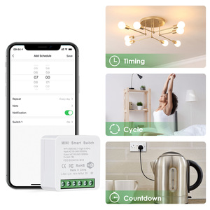 Tuya Doodleミニwifiスマートスイッチ音声リモートコントロールタイミング共有デュアルコントロールスイッチ - Product Image 5