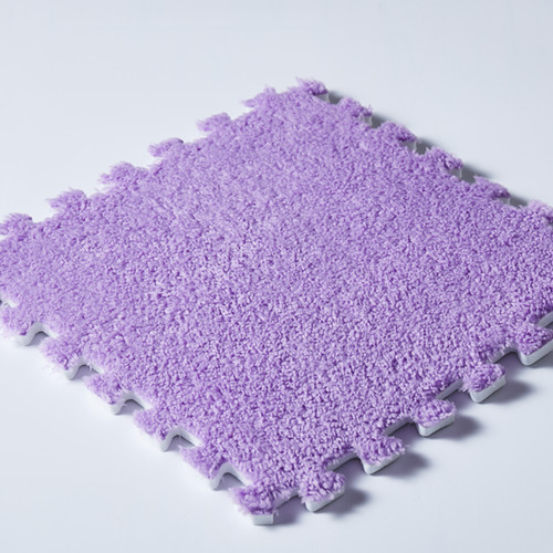 Viola