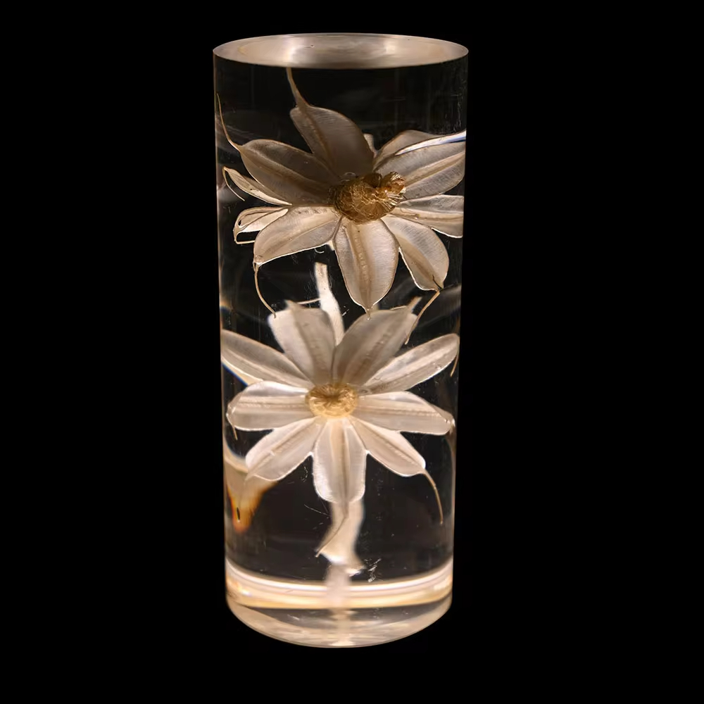 Chrysanthème
