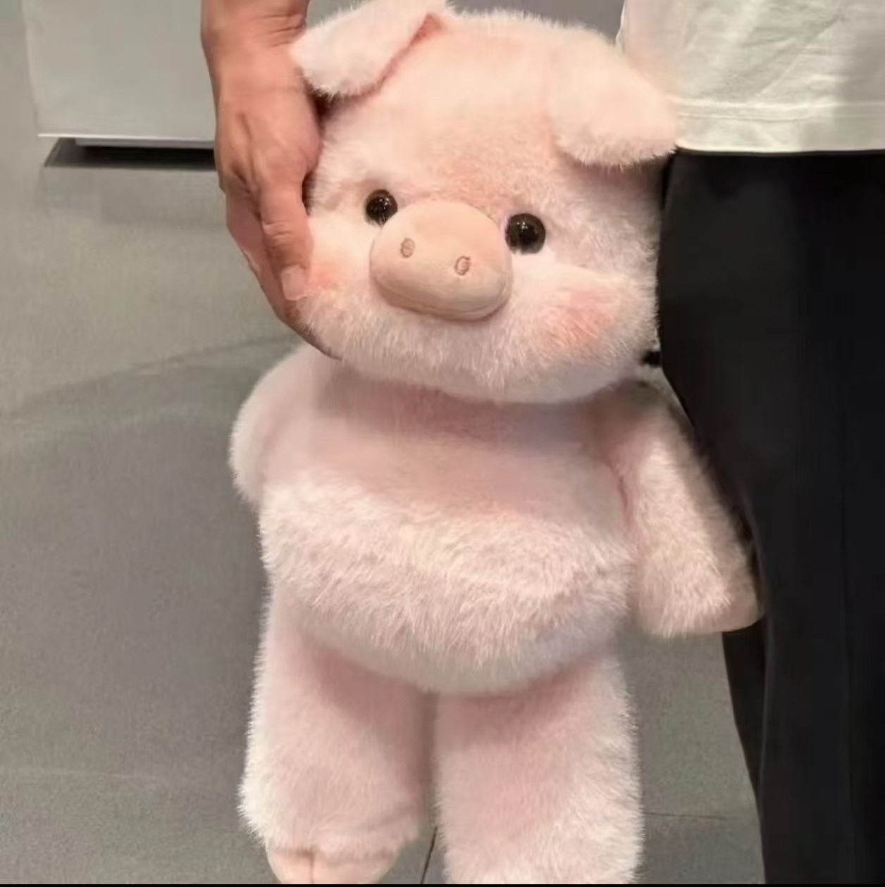 Cerdo rosa