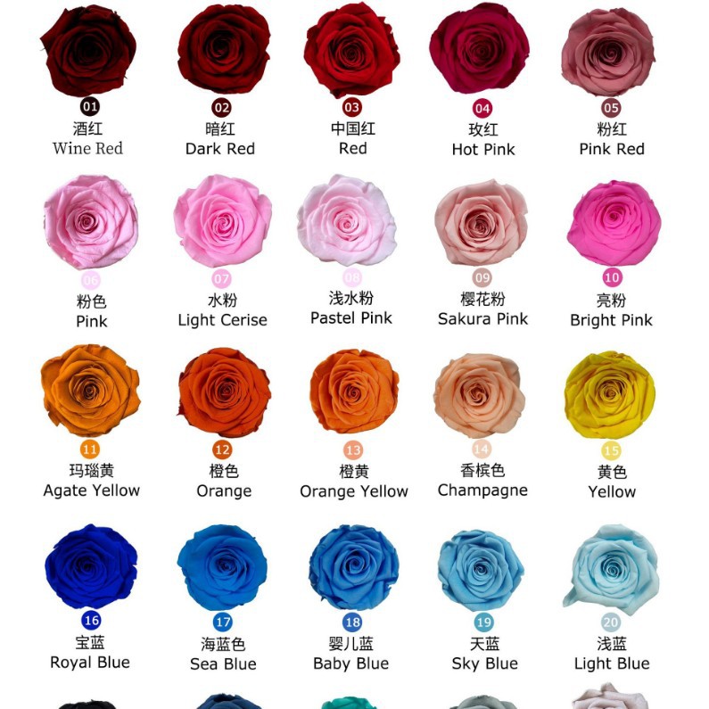 Service à la clientèle de consultation de couleur personnalisée