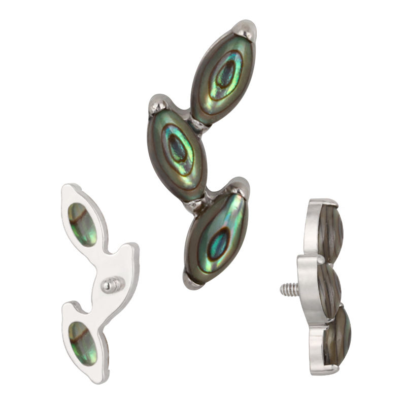 TB-1234 Abalone Shell