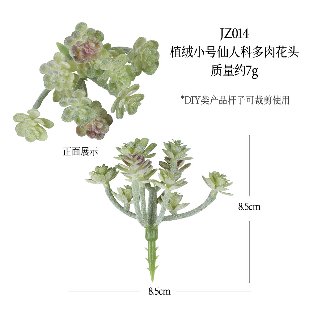Jz014 กระบองเพชรเล็กสีเขียวแบบกำมะหยี่