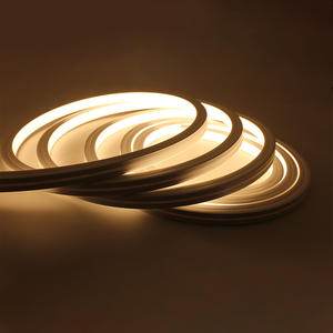 Ray24 50m Led Neon kordonlu lamba ayarlanabilir 780-840lm silikon 24V giriş gerilimi IP67 derece ile floresan lamba renkli - Product Image 4