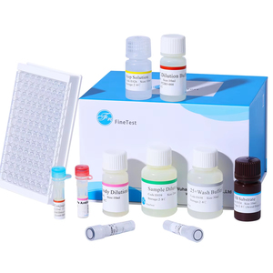 FineTest İnsan HIF1A ELISA seti bilimsel araştırma hixia -indüklenebilir faktör 1-alfa yüksek hassasiyet test kiti - Product Image 1