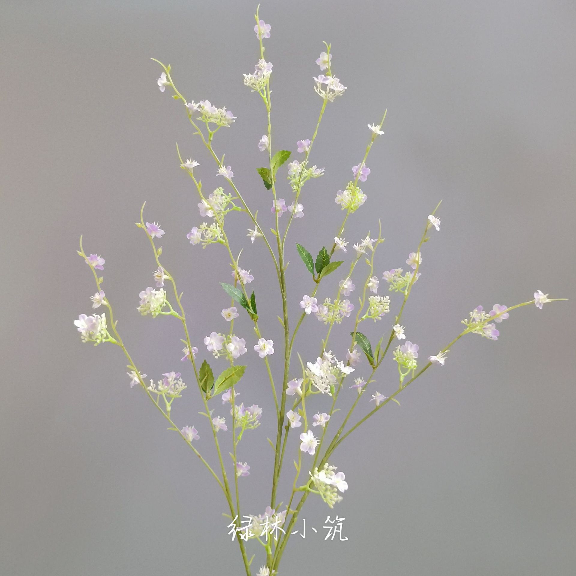Article n° 253 - Gypsophile à branches hautes