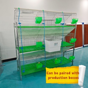 Mới nóng bán tùy chỉnh nhựa & mạ kẽm hàn dây lưới h-loại thỏ lồng - Product Image 3