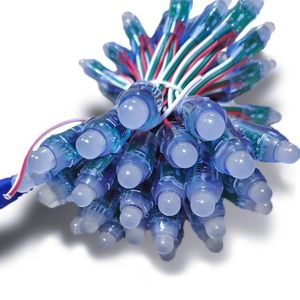 RGB Full Color <strong>WS2811</strong> RGBIC DC5V 0.3W Addressable <strong>LED</strong> Light <strong>String</strong> 12V GS8208 RGB Bullet <strong>Led</strong> <strong>Pixel</strong> Light <strong>String</strong> - Product Image 3