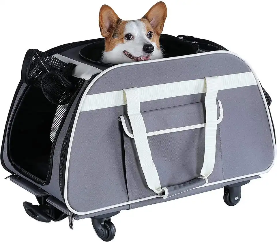 Sac à dos pliable pour voyage en avion, pour chiots, chiens, chats, sac à dos avec roulettes amovibles