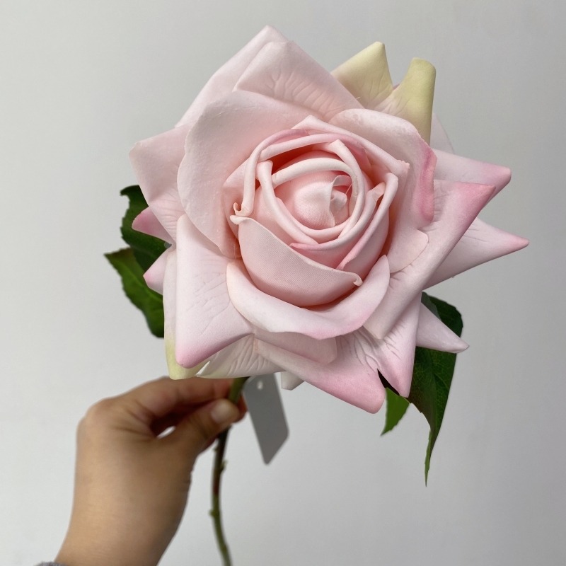Rosa claro