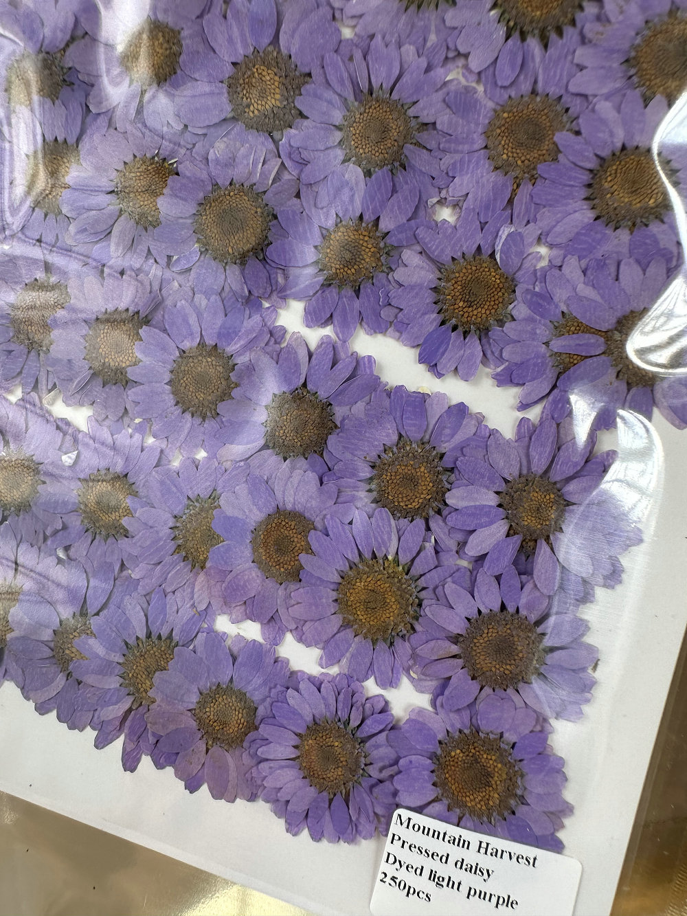Teint en violet clair 12 pièces/sac