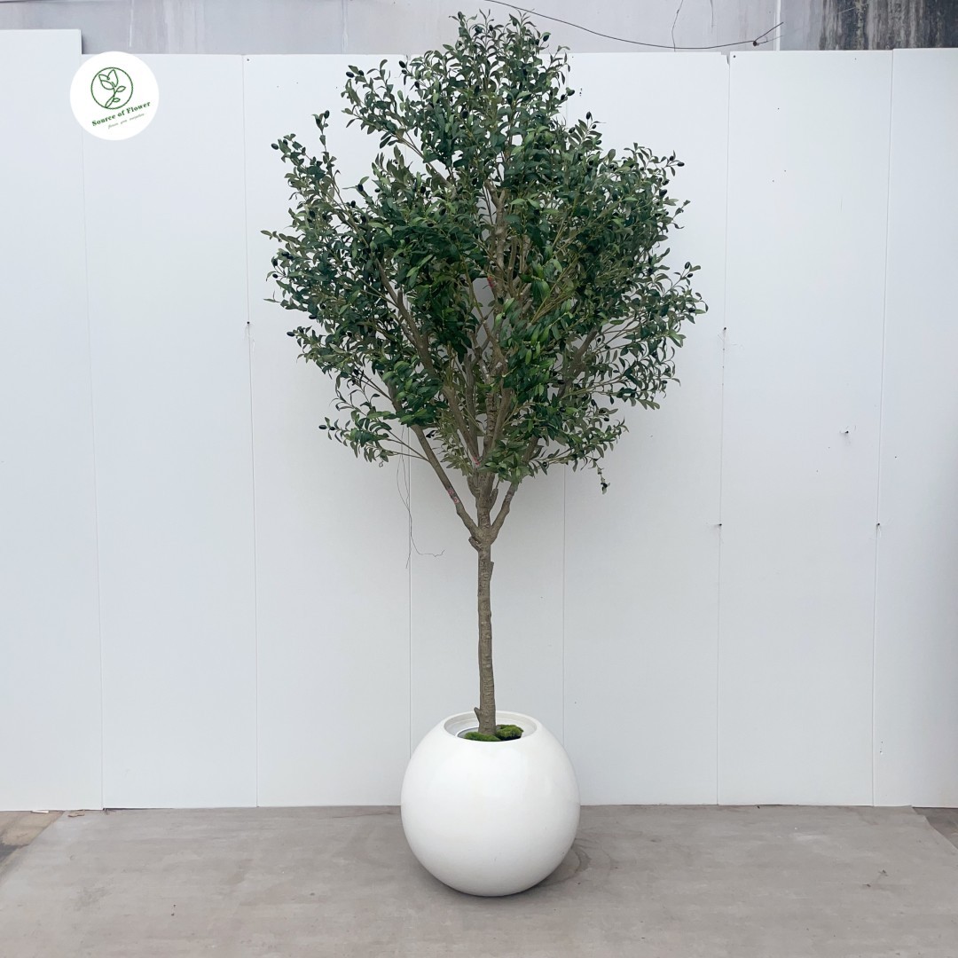 Pot de 260 cm + 45 cm