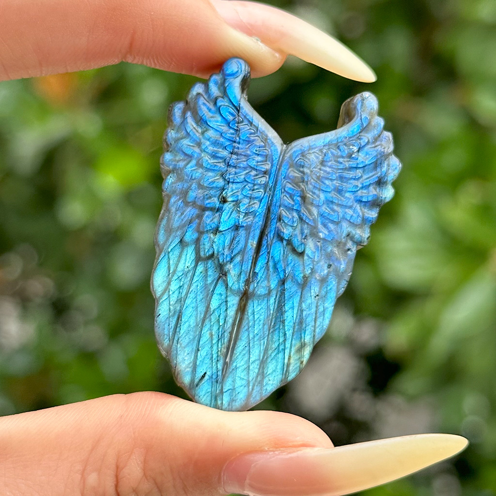Wing