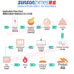 Enzyme cho bánh mì khối lượng tăng & Gluten tăng cường, glucose oxidase cho thay thế hóa chất oxy hóa trong bánh - Product Image 5