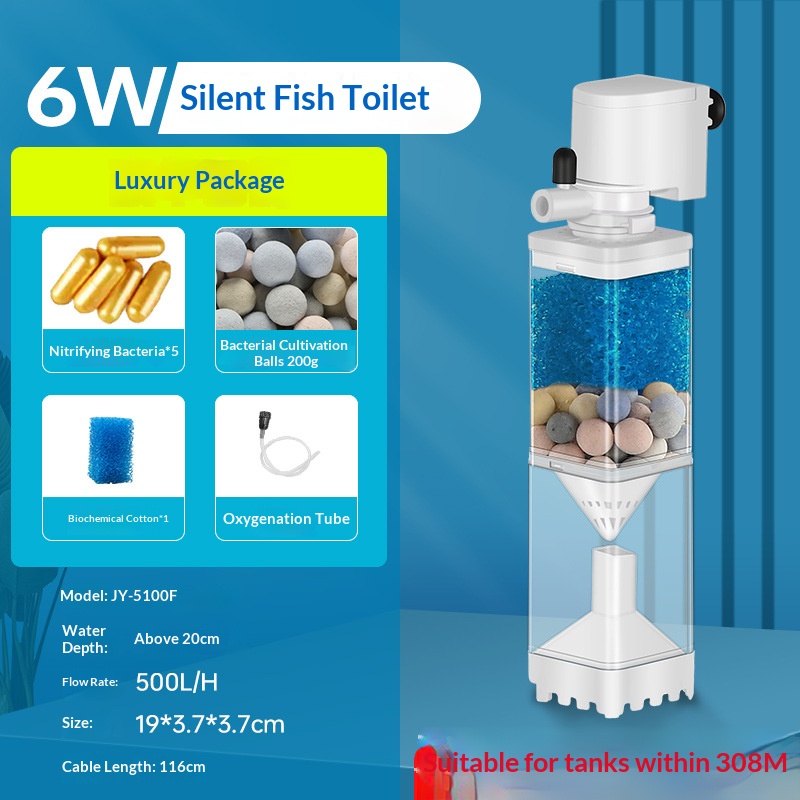 6W